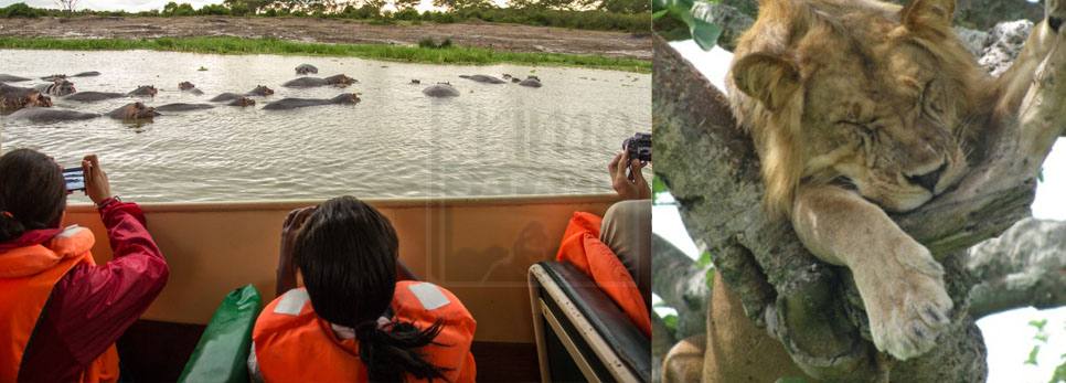 queen-elizabeth-uganda-safaris